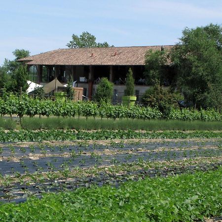 Agriturismo Cascina Caremma Besate Extérieur photo