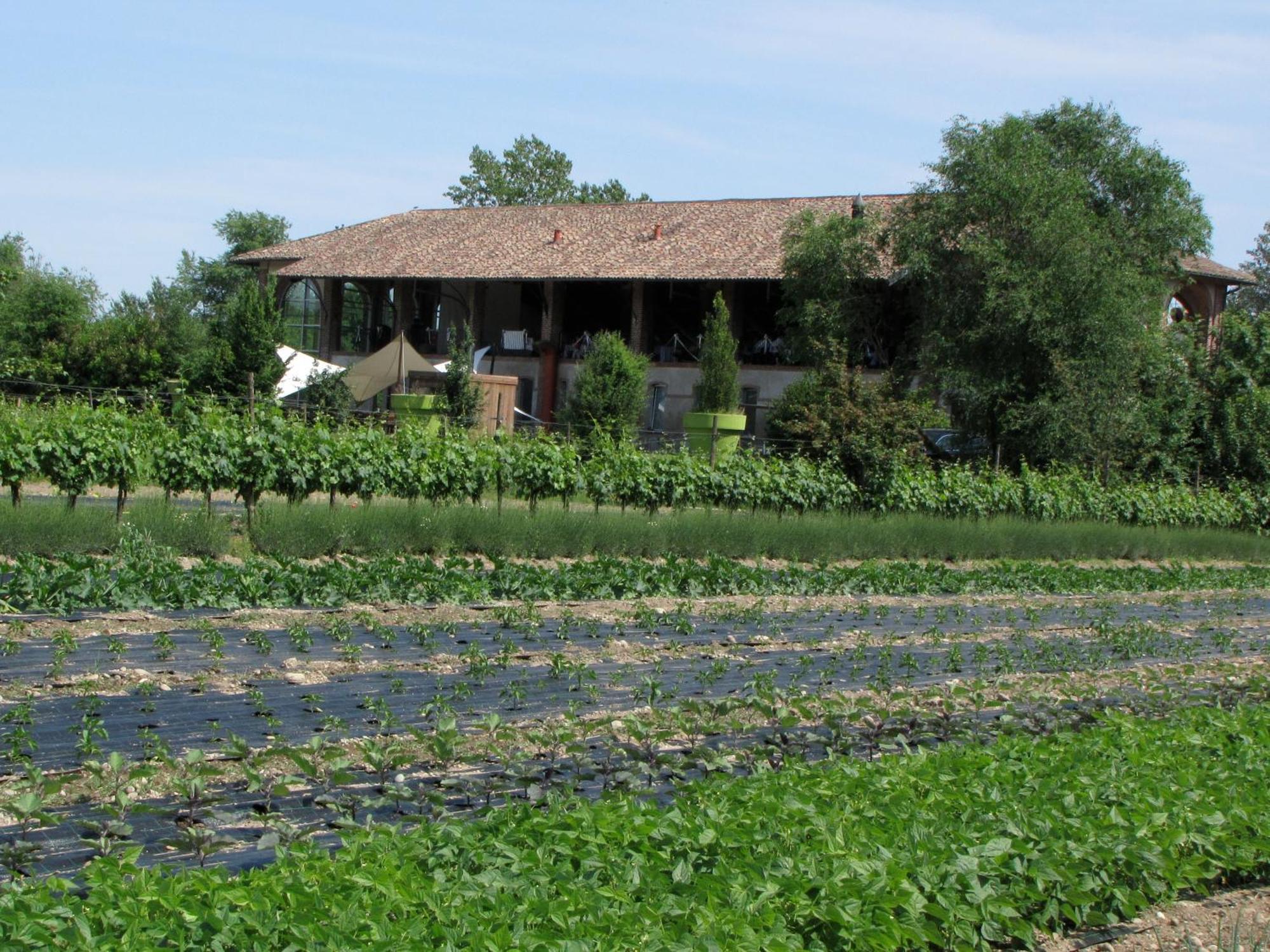 Agriturismo Cascina Caremma Besate Extérieur photo