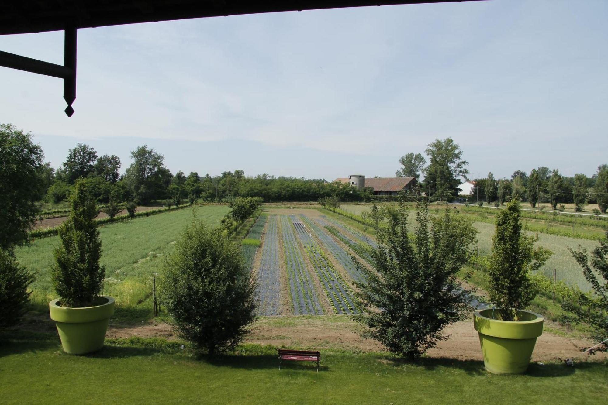 Agriturismo Cascina Caremma Besate Extérieur photo