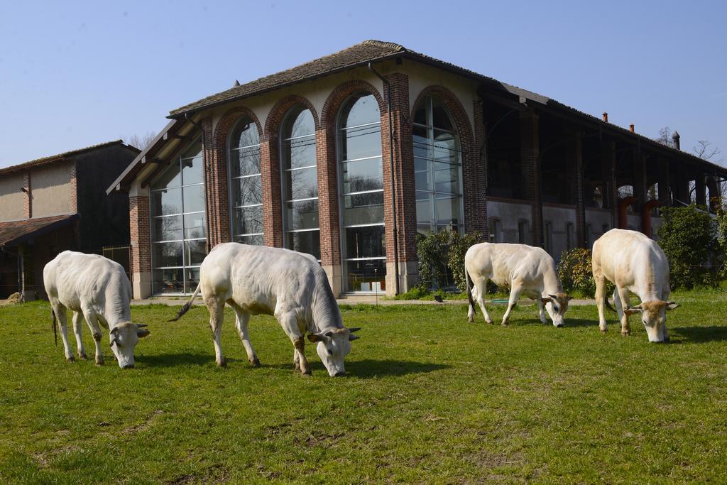 Agriturismo Cascina Caremma Besate Extérieur photo